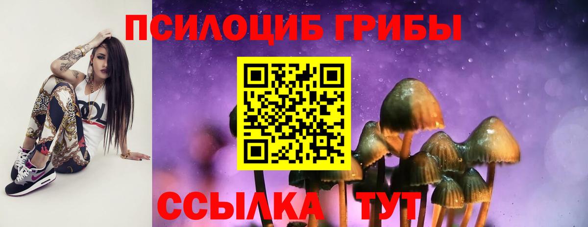 Нерюнгри  что такое наркотик  Вход с VPN  Псилоцибиновые грибы Magic Shrooms 